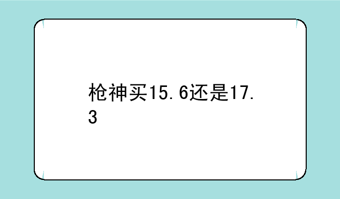枪神买15.6还是17.3