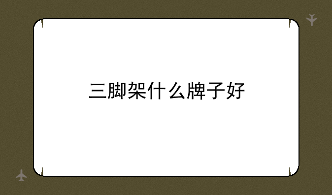 三脚架什么牌子好