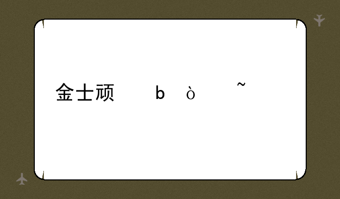 金士顿防伪查询