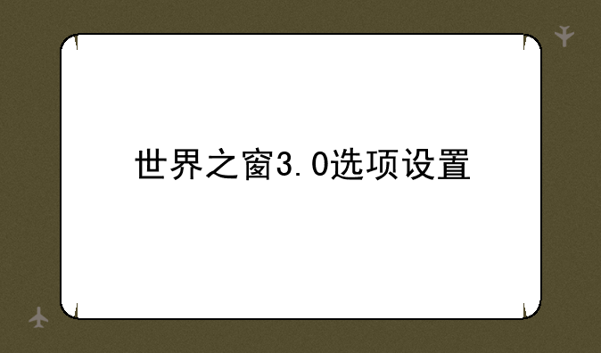 世界之窗3.0选项设置