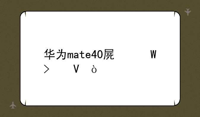 华为mate40屏幕参数？