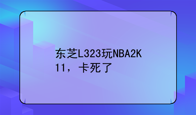 东芝L323玩NBA2K11，卡死了
