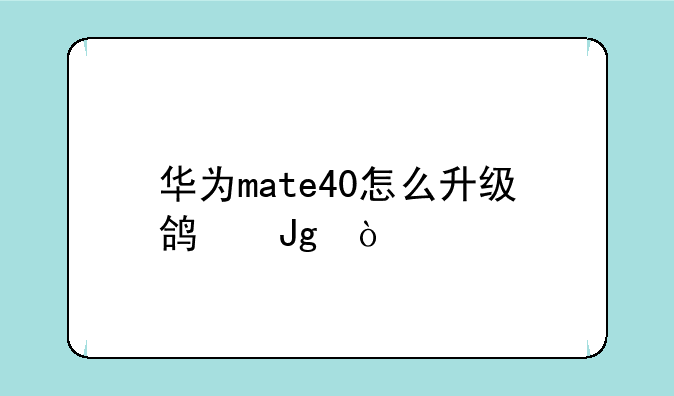 华为mate40怎么升级鸿蒙？