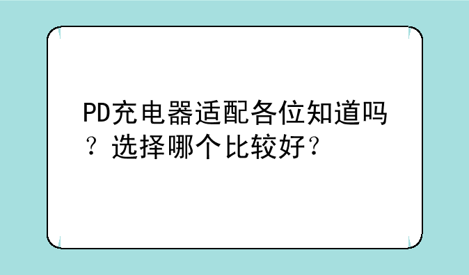 PD充电器适配各位知道吗？选择哪个比较好？