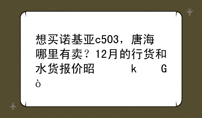 想买诺基亚c503，唐海哪里有卖？12月的行货和水货报价是多少？