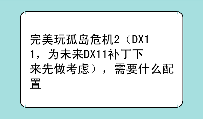 完美玩孤岛危机2（DX11，为未来DX11补丁下来先做考虑），需要什么配置