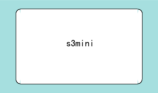 s3mini