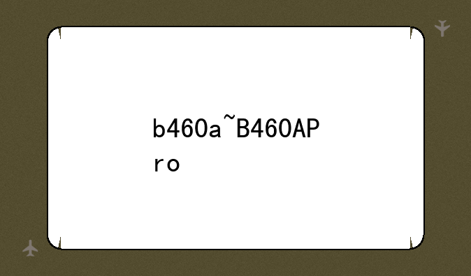 b460a~B460APro