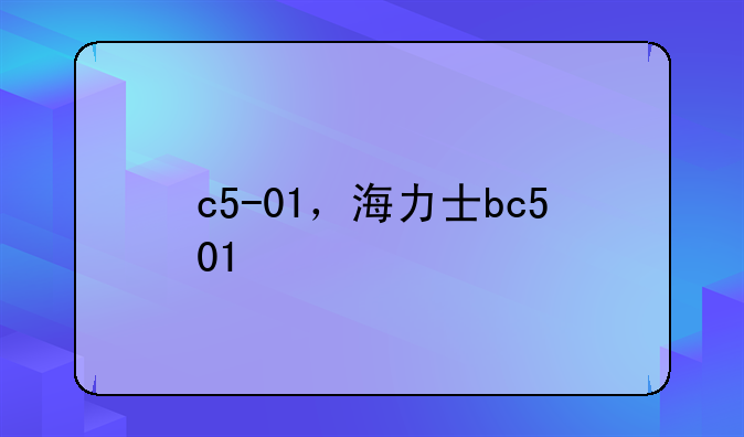 c5-01，海力士bc501