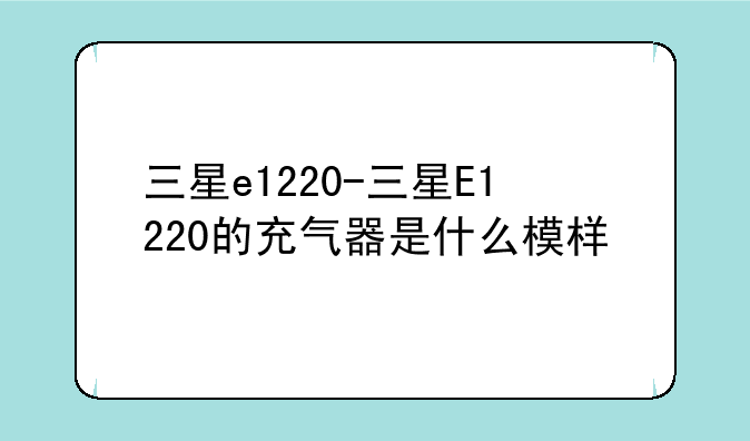 三星e1220-三星E1220的充气器是什么模样