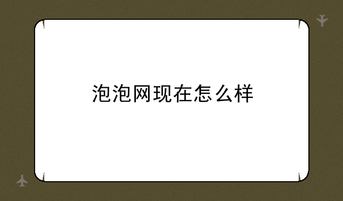 泡泡网现在怎么样