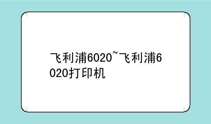 飞利浦6020~飞利浦6020打印机