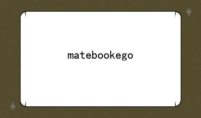 matebookego
